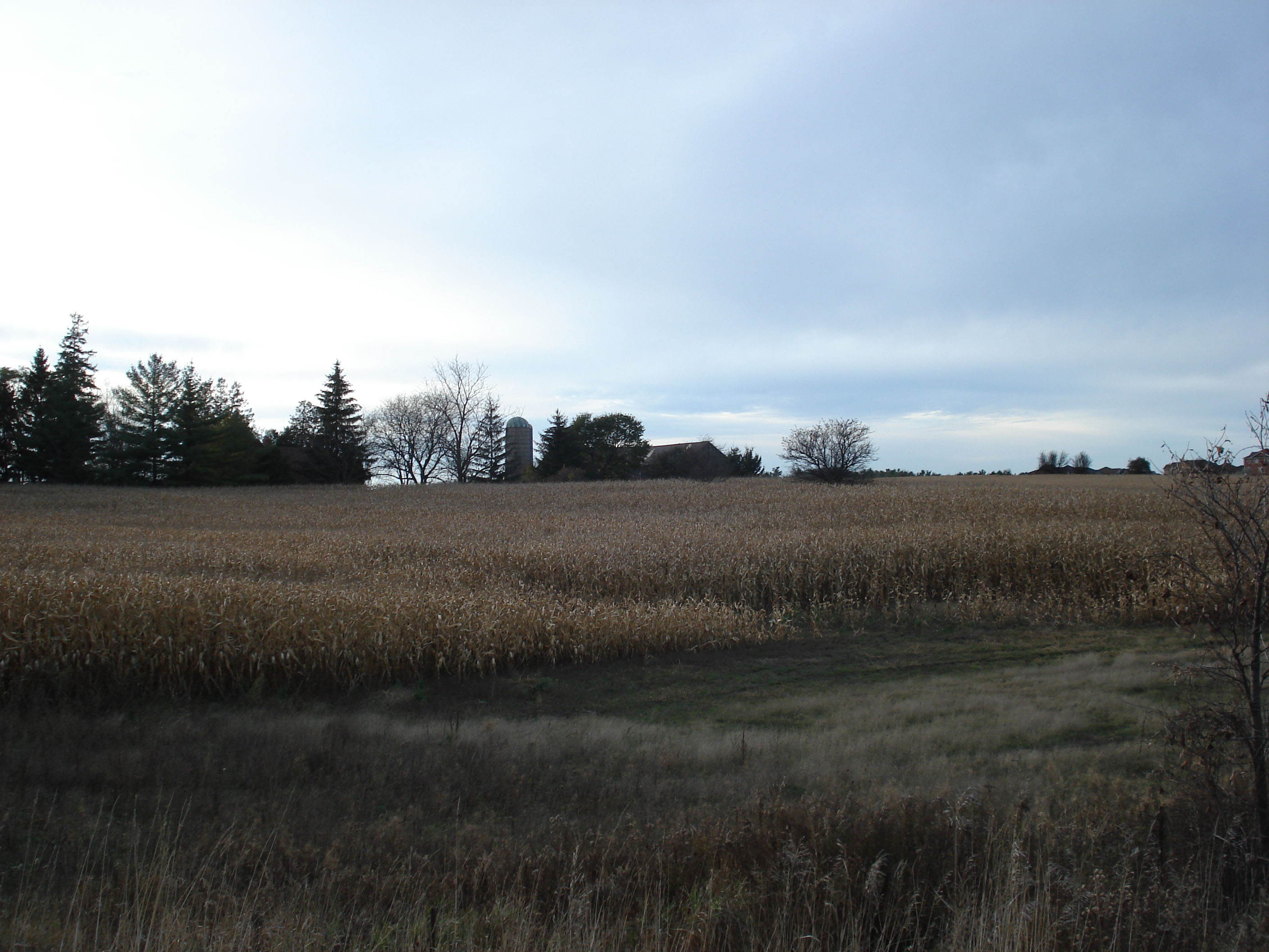 Toth Farm